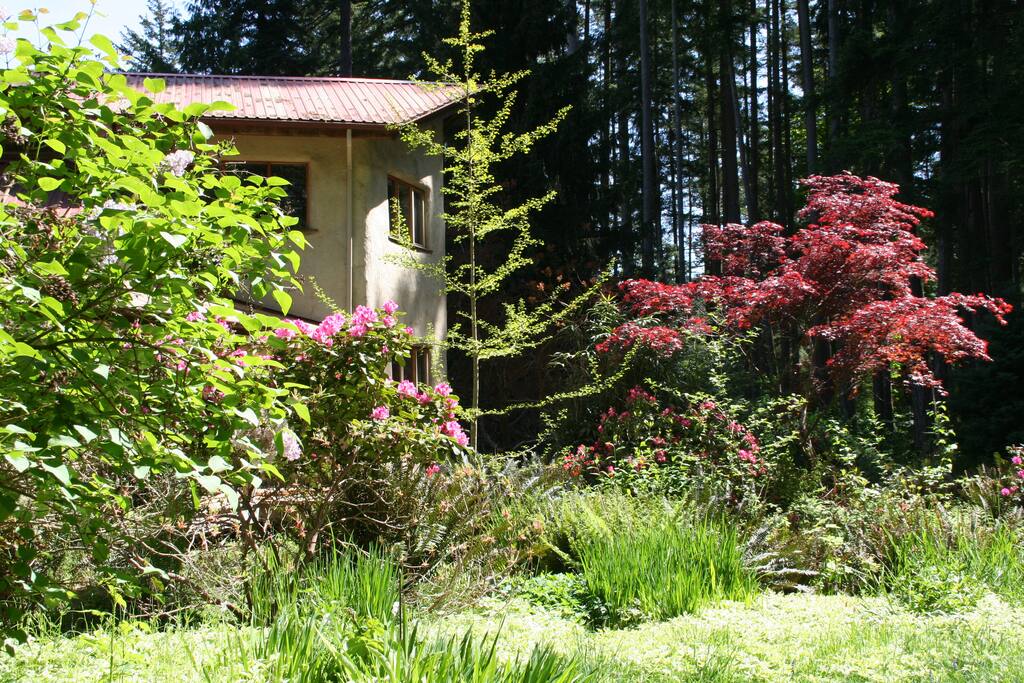 Enjoy the mature trees by the pond...