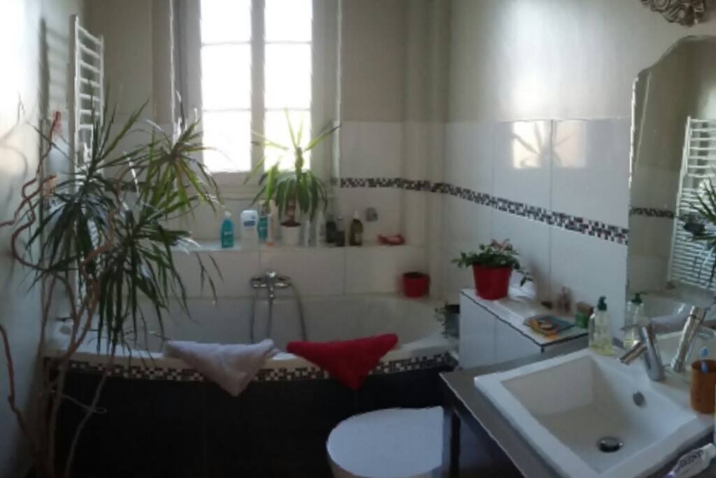 salle de bain + wc