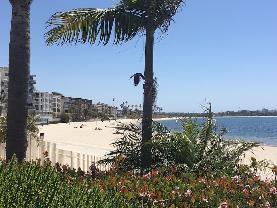 Walk a little over a block to the west and this is the view you will see. Beautiful white sand beaches, calm warm waters, and a fun boardwalk that wraps around the bay and connects to Pacific Beach