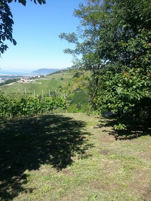Vista panorama