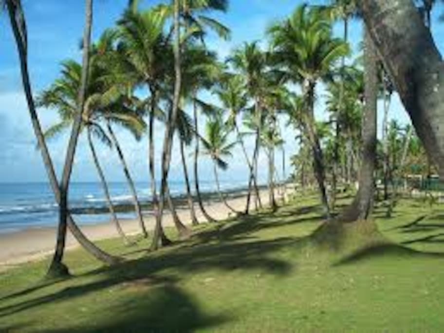 Praia de Vilas do Atlântico-Imagem 1
