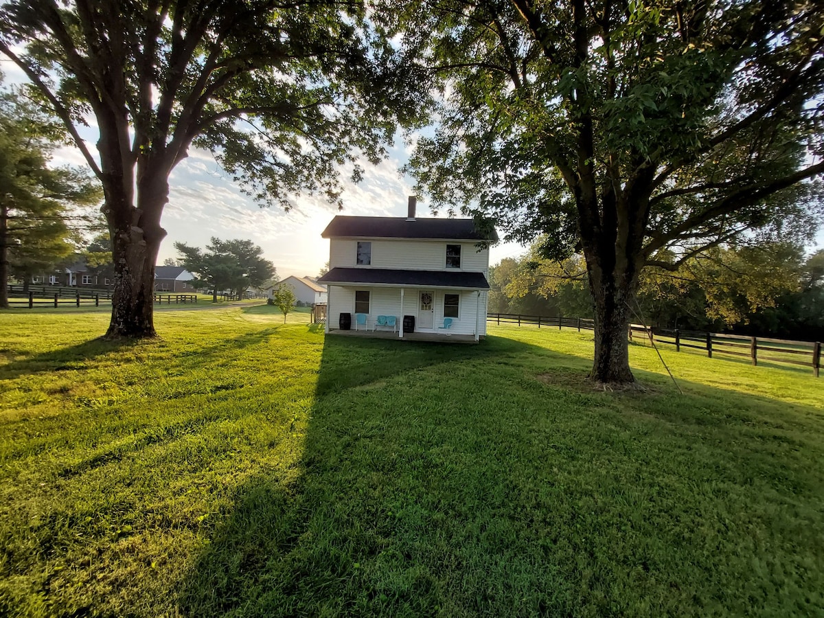 A charming, two-story house is nestled between two large trees, with a wide lawn surrounding it. The home features a porch area and is partially shaded, while warm sunlight casts a long shadow across the grassy yard. A serene, rural setting is highlighted by a wooden fence in the background.