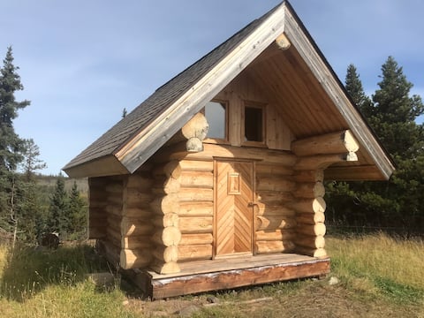 Tiny house on Southside