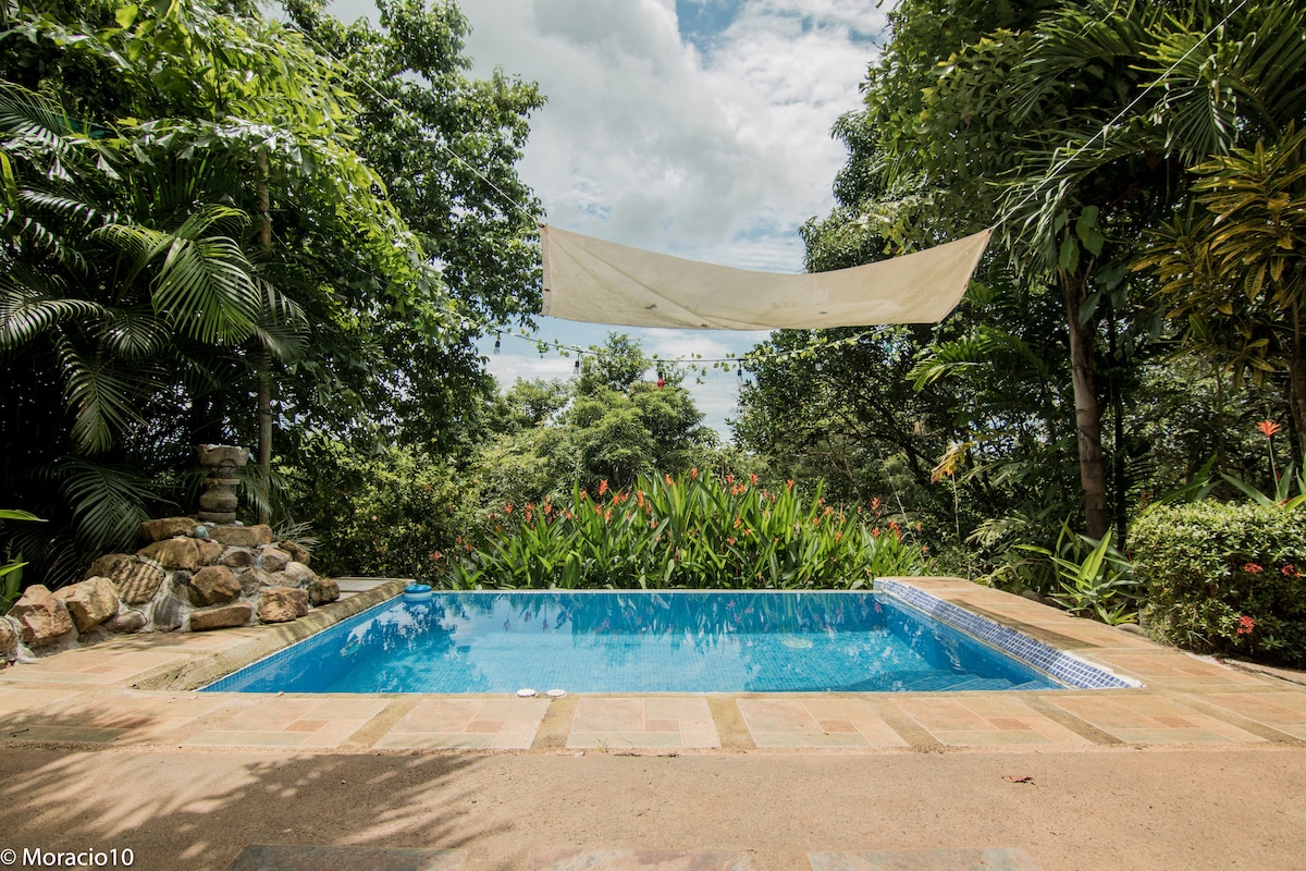 An illuminated pool is surrounded by lush greenery, featuring natural stone accents and a gentle fountain. A sunshade provides protection from direct sunlight, enhancing the peaceful outdoor setting. Colorful plants and trees are visible in the background, complementing the serene atmosphere.