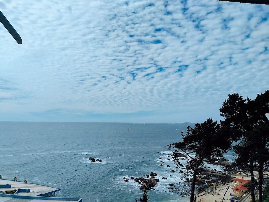 Vista de la Terraza