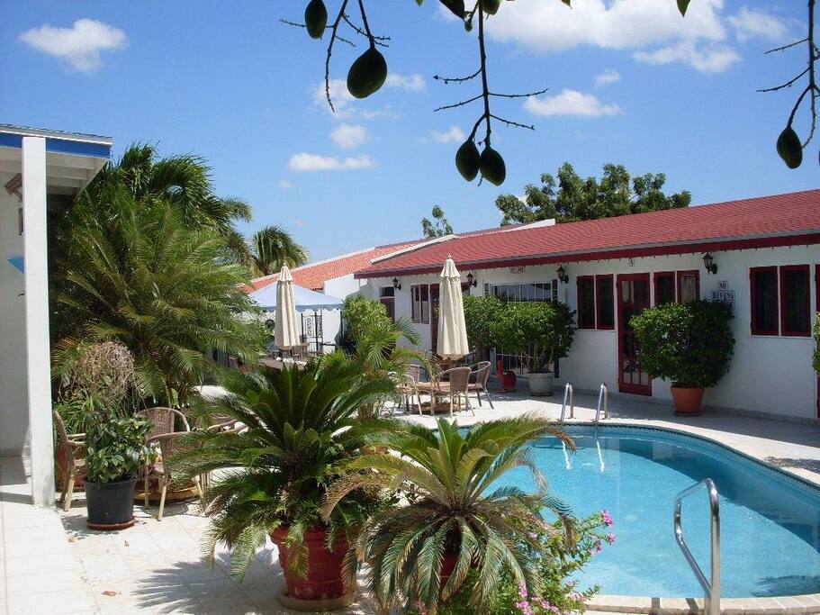 Aruba Harmony Apartments Suites & Hostel Apartments for Rent in