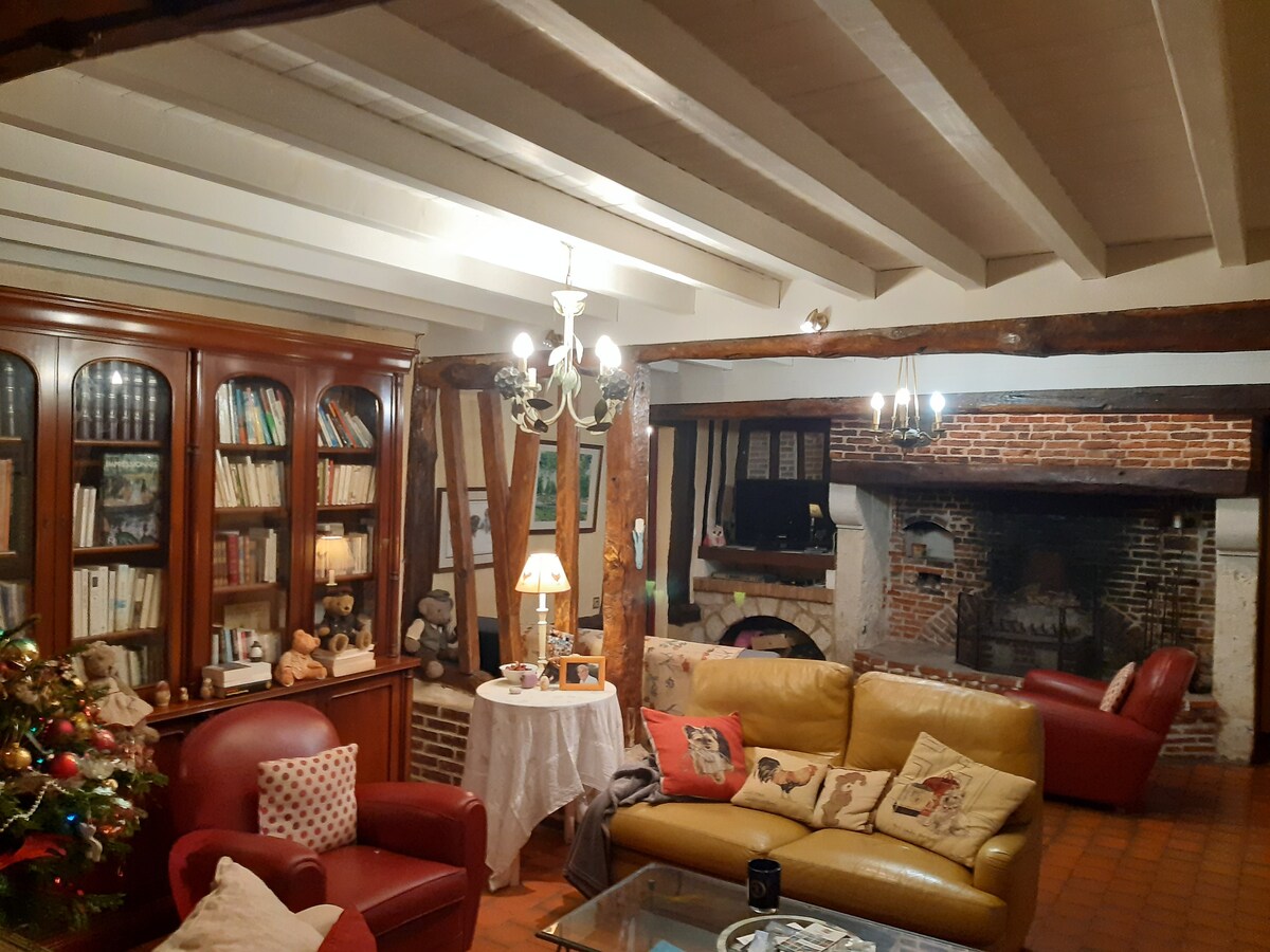 The living area features exposed wooden beams and a cozy fireplace surrounded by brick. A collection of books is displayed in a wooden cabinet, while comfortable seating is provided by a yellow sofa and red armchairs. A table lamp adds warm lighting to the space.