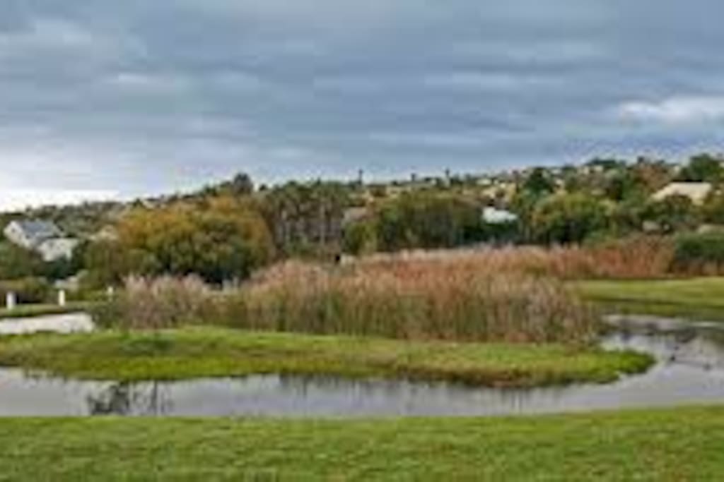 Bottom Dam in Estate