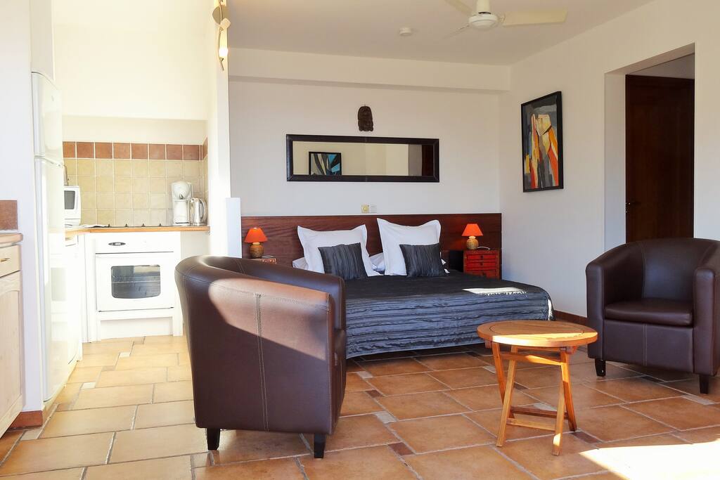 L'appartement. Espace chambre et coin cuisine toute équipée.