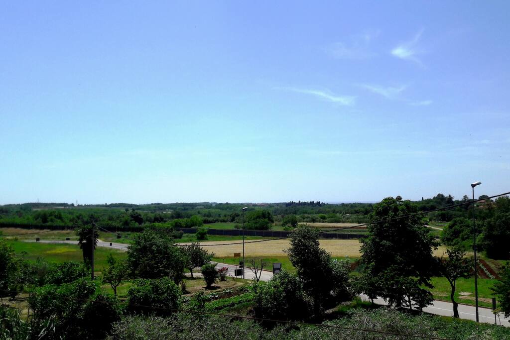 View