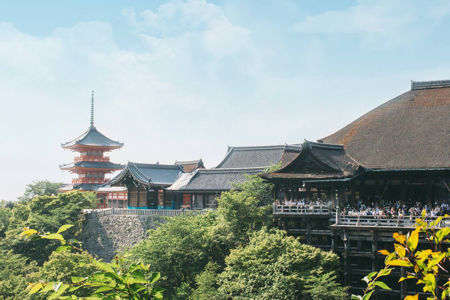 神奇的清水寺舞台 京都旅游攻略 尽在airbnb爱彼迎