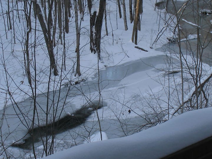 southern VT 72 acres w/hot tub! Houses for Rent in West Pawlet