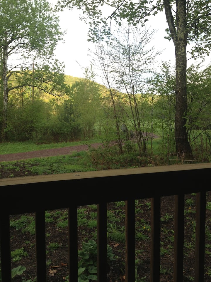 southern VT 72 acres w/hot tub! Houses for Rent in West Pawlet