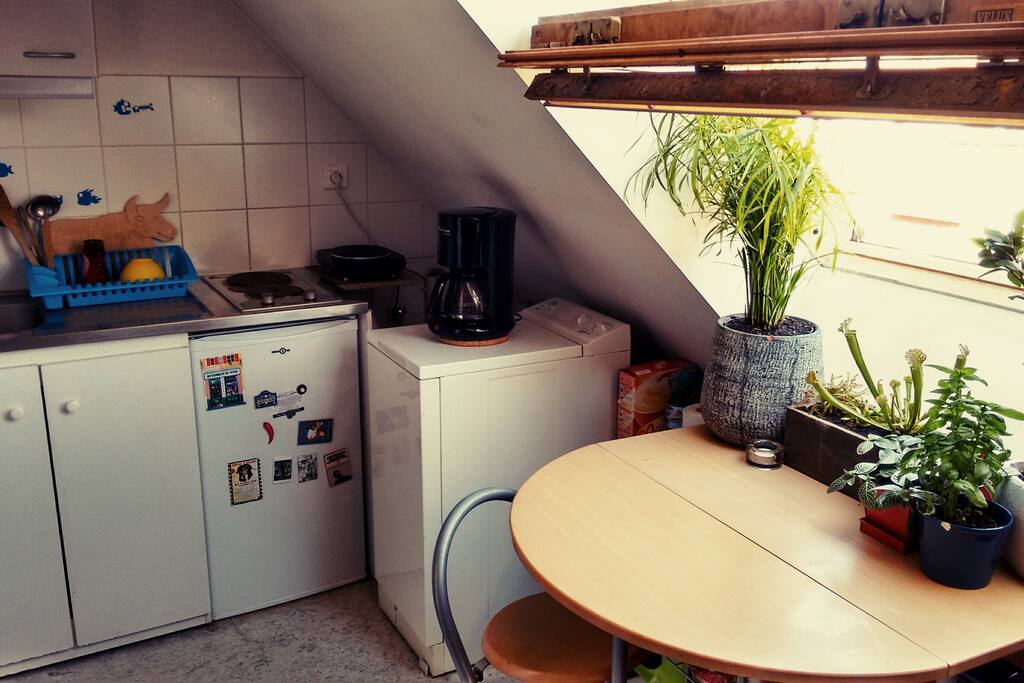 Il y a tout ce qu'il faut pour cuisiner : trois plaques chauffantes, un four, un wok et des poêles, etc.