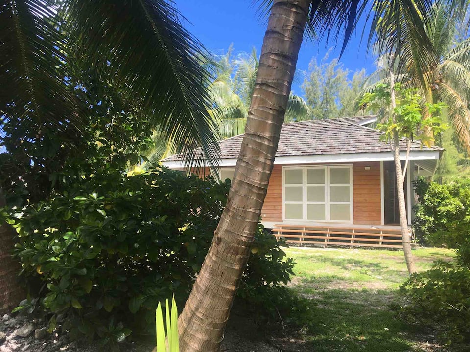 Cottage « the papaya tree » — foto 1