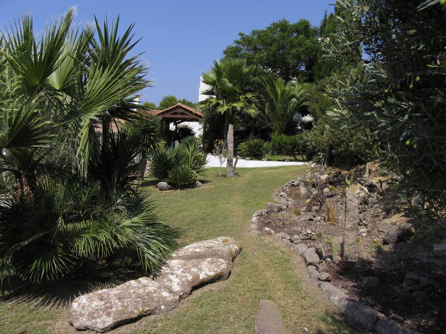 Garden 1