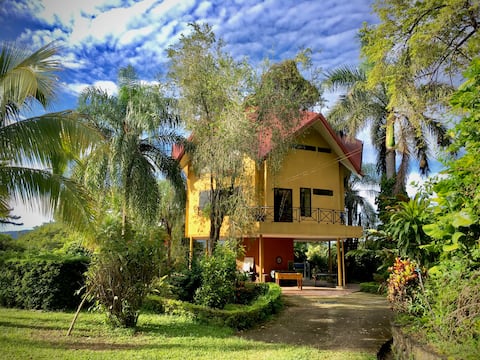 Tropical House / Treehouse
