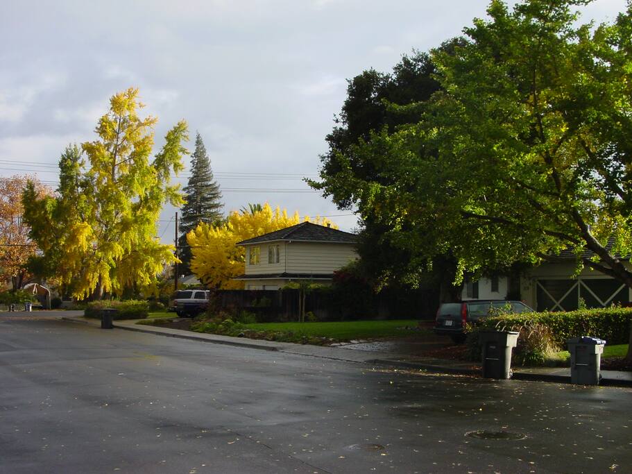 Downtown Mountain View location.