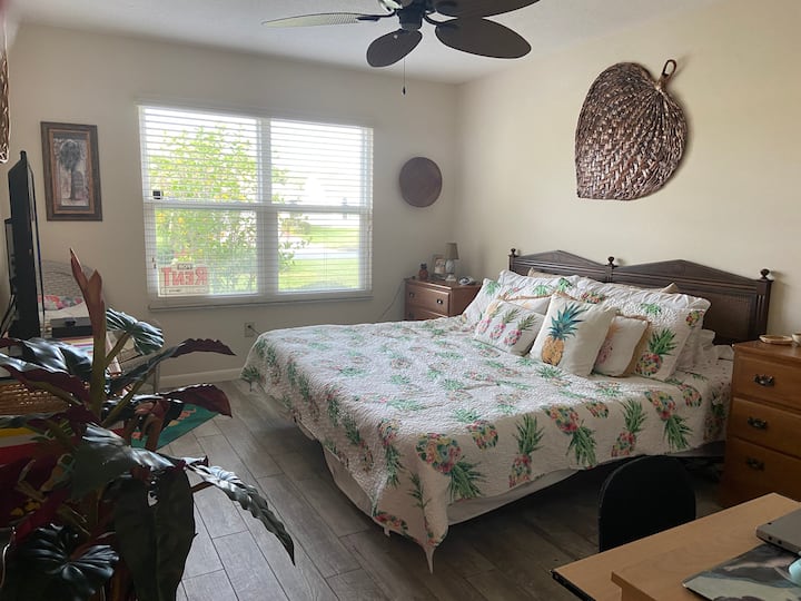 Rentals In The Villages