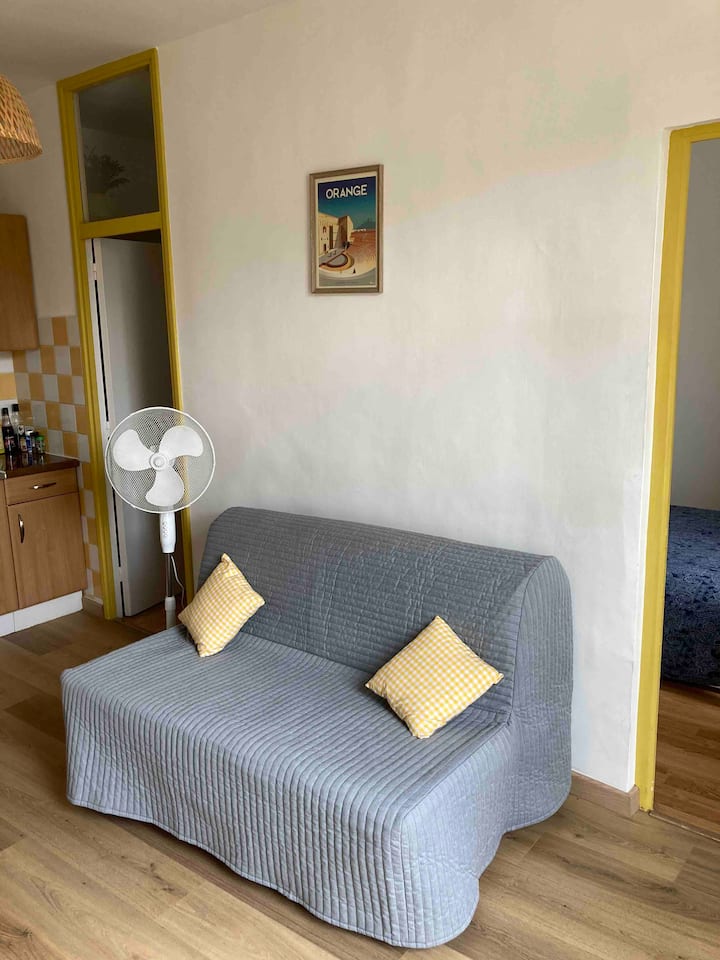 Appartement Dans Un Immeuble  Historique Avec Cour - Orange