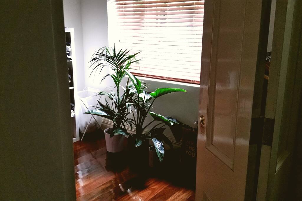 Plants throughout bedroom