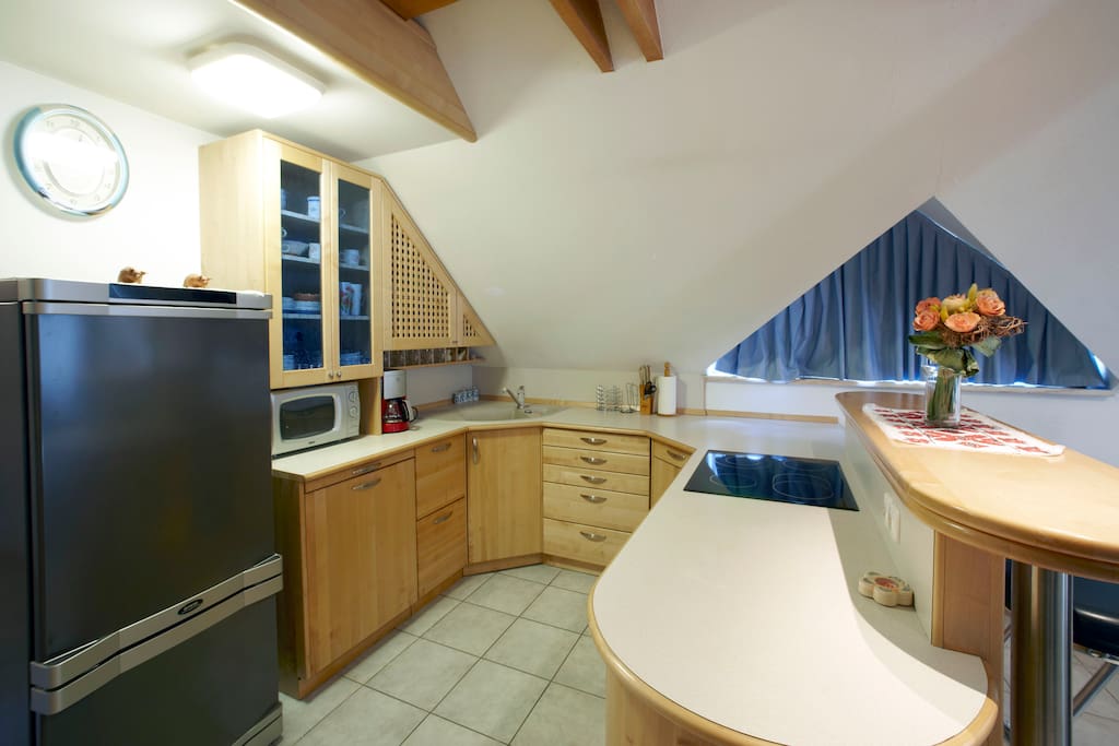 Kitchen as a part of living room with dishwasher, refrigirator, stove, coffee maker etc.