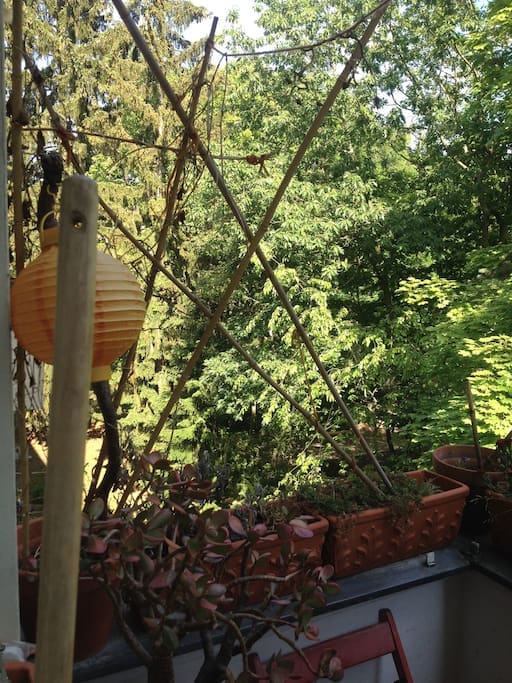 Blick vom Balkon - View from the Terrace
