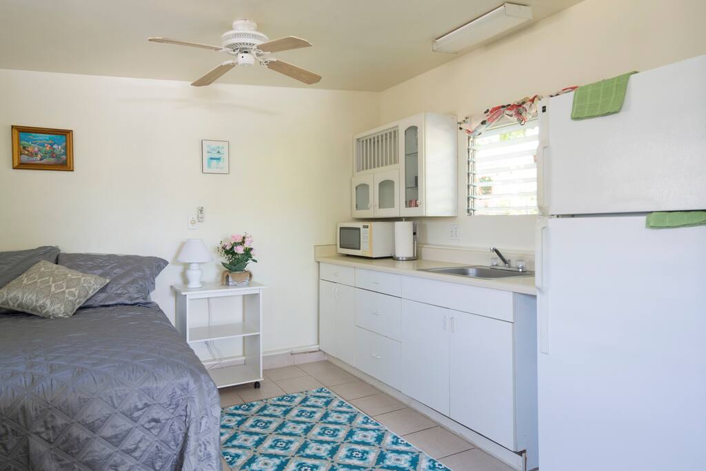 fridge in kitchen, microwave