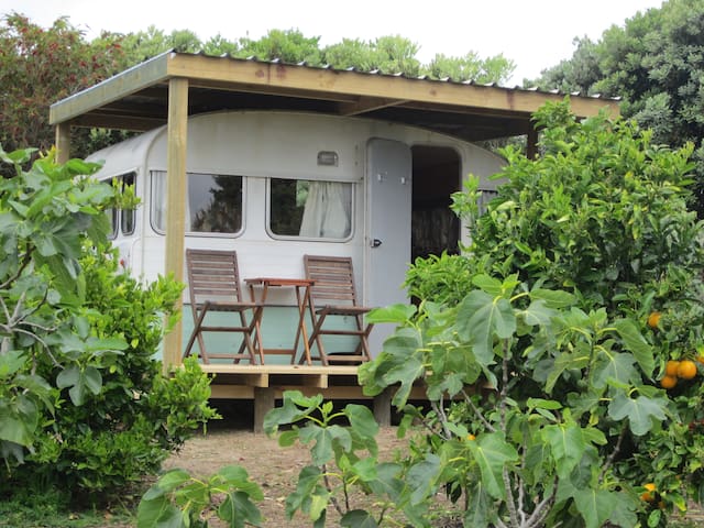 Airbnb Coopers Beach Vacation Rentals Places To Stay