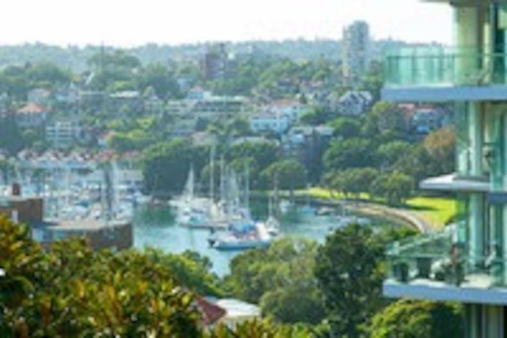 View from rooftop patio over Rushcutters Bay.
NOTE: Rooftop will be closed for renovations for approximately 13 weeks from 06/03/17 (Update: works still under way so there remains no roof access).