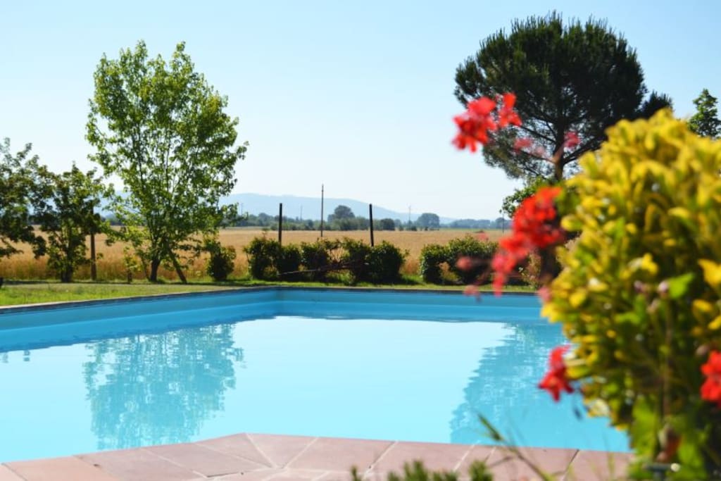 La piscina è situata sul retro della casa,con tavolo coperto,ombrelloni e sedie.