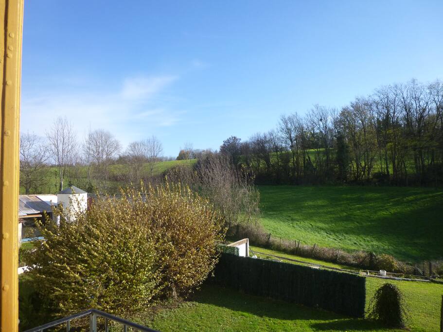 Le pré aux chevreuils depuis le balcon de la chambre.