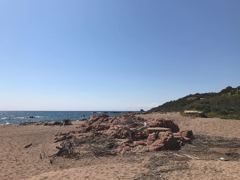 Plage en bas du jardin