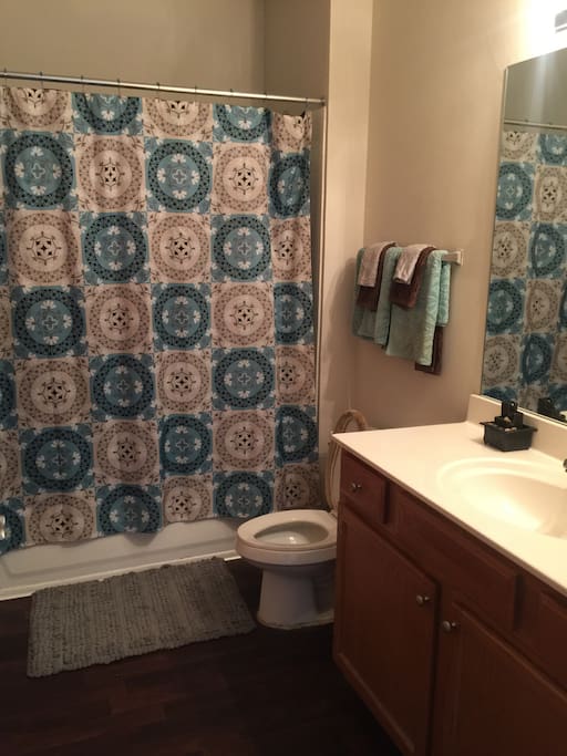 Bathroom includes complimentary towels, shampoo, hair dryer, and soap.