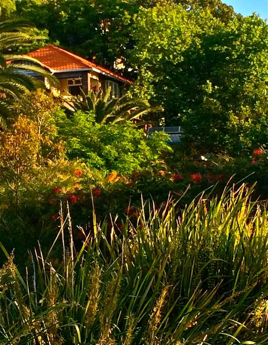 Tucked away, enclosed by greenery