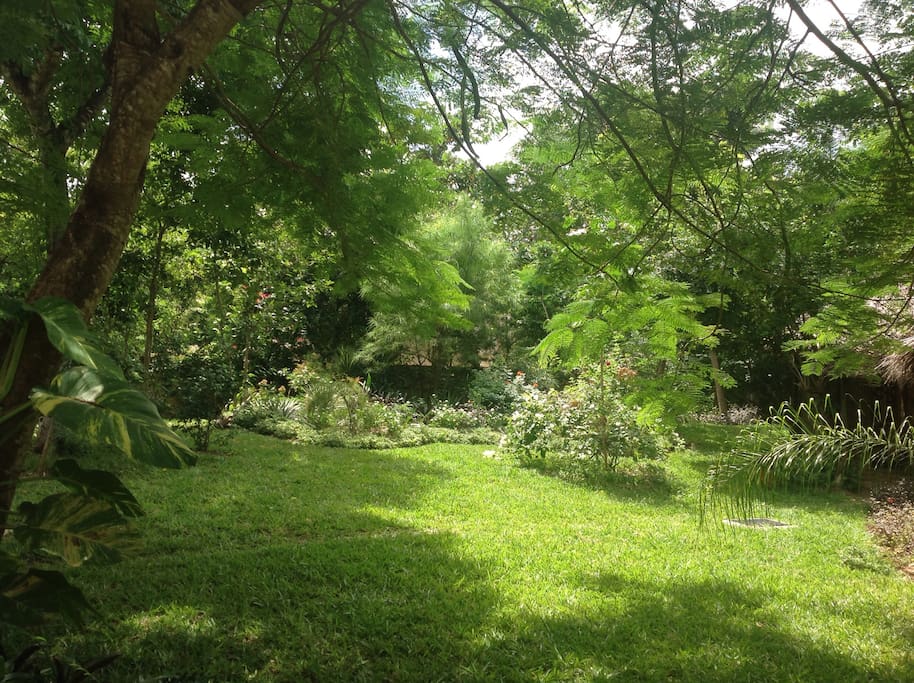 Lush lush stunning garden