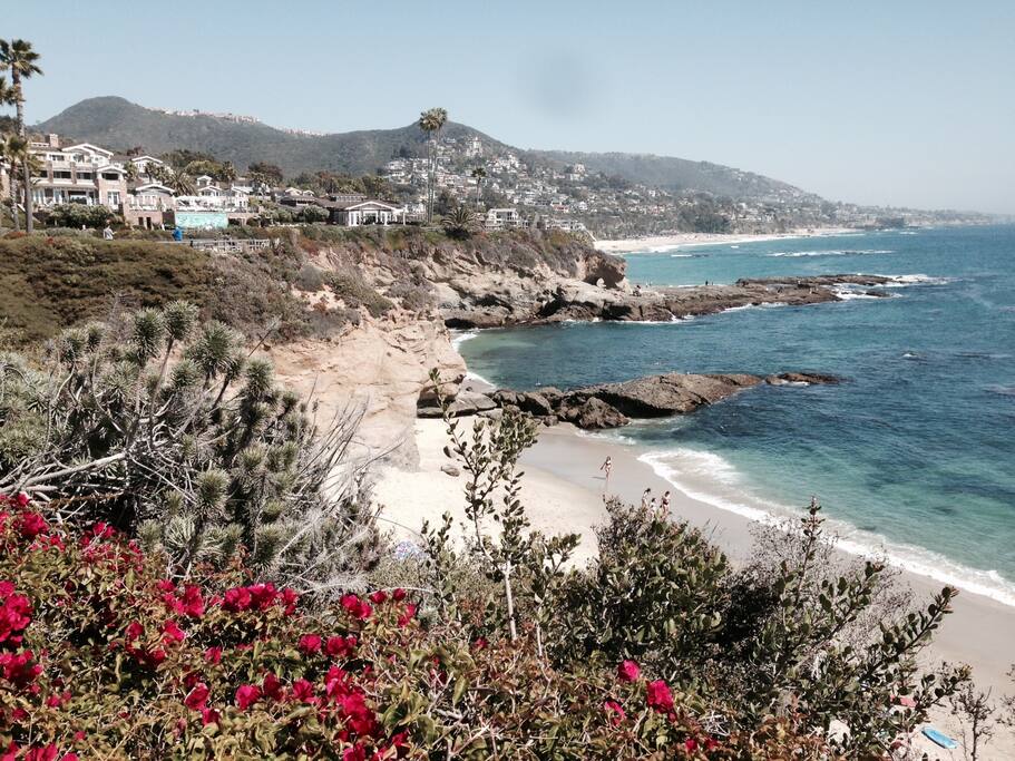 LAGUNA'S STATE CONSERVATORY AND MARINE RESERVE AND RESORT COVES ALL BELOW
