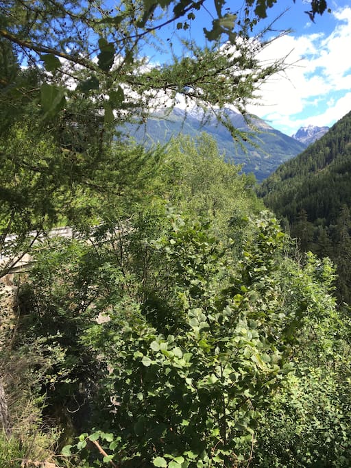 It a National Park, can you tell?