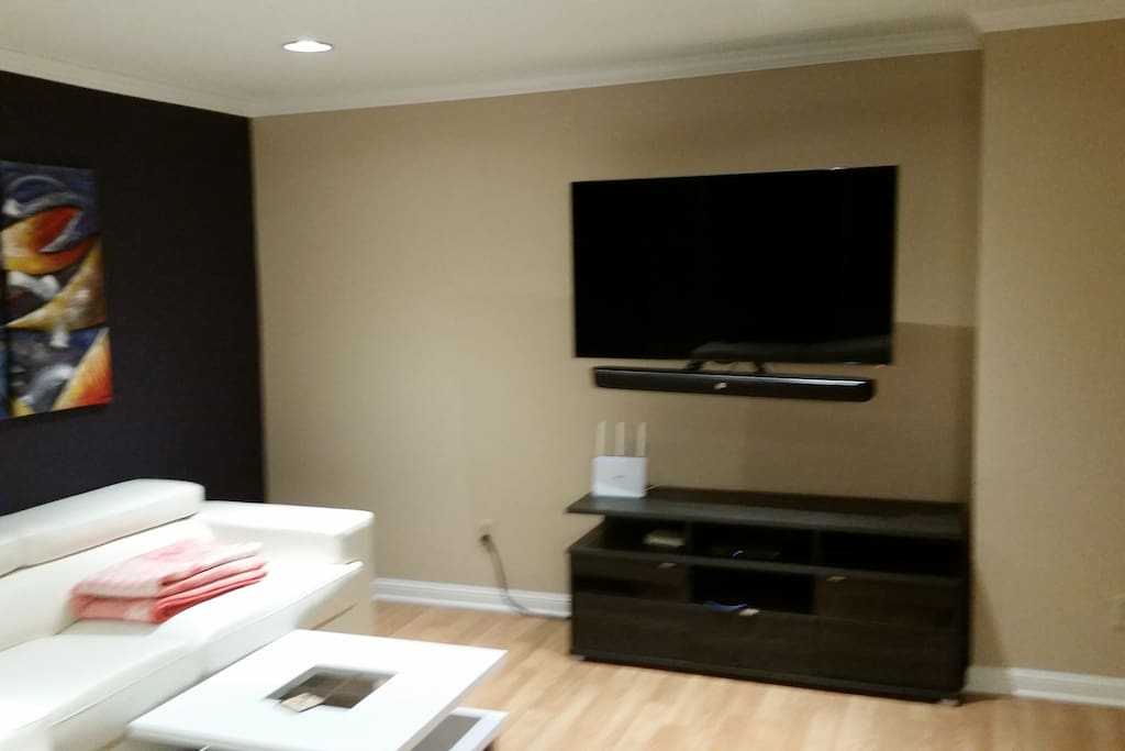 Television