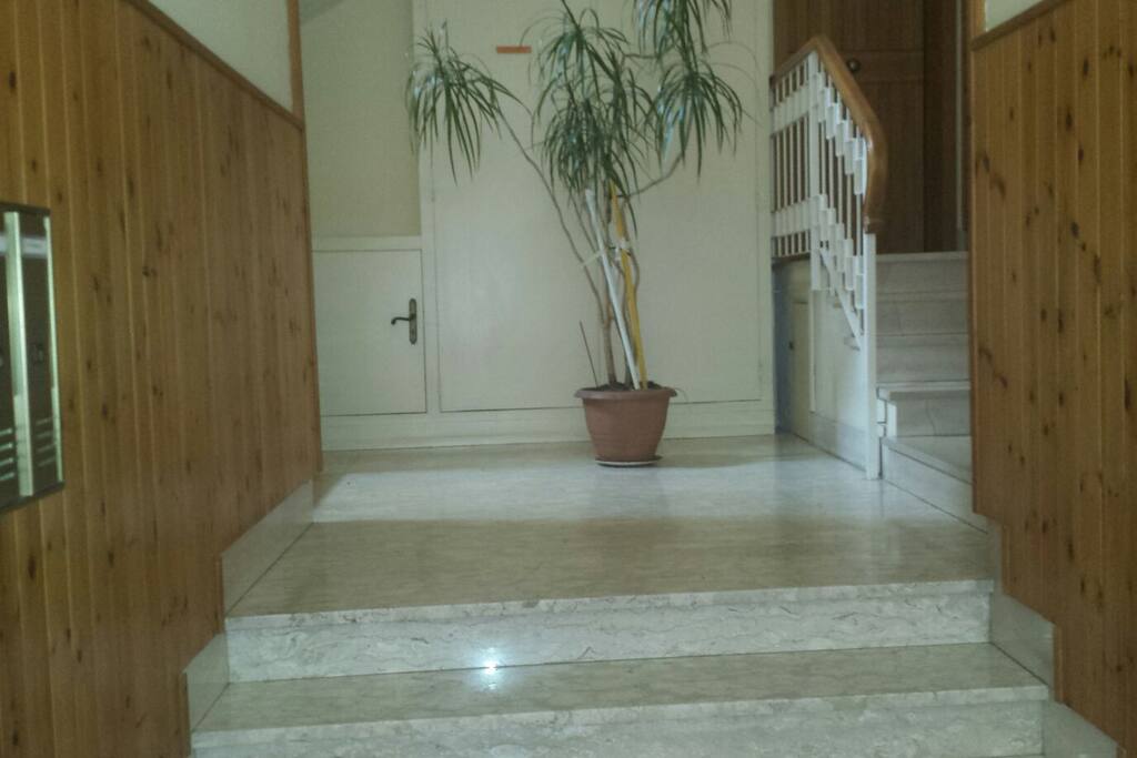 ingresso