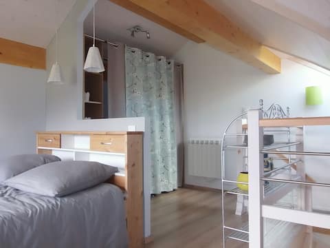 Very nice wooden chalet 50m2,near Annecy