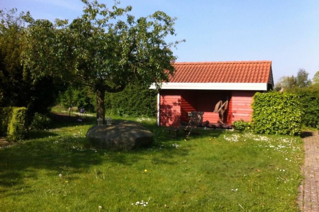 The garden