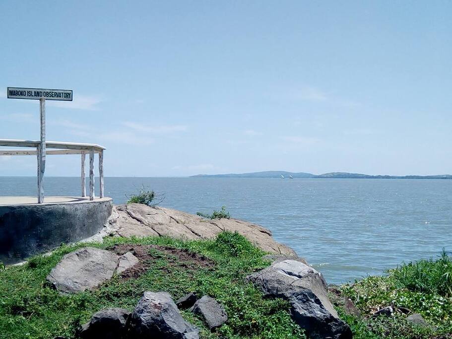 View Point