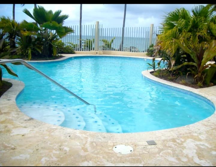 Top 12 PetFriendly Airbnbs In Puerto Rico Updated 2024 Trip101