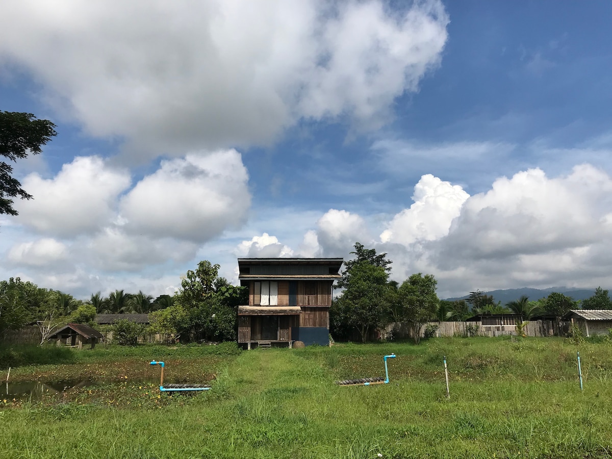 A wooden two-story house is set against a backdrop of blue skies and fluffy white clouds. Surrounded by lush green grass, the structure features large windows and a porch, with greenery and trees framing the property. The serene landscape embodies a peaceful rural setting.
