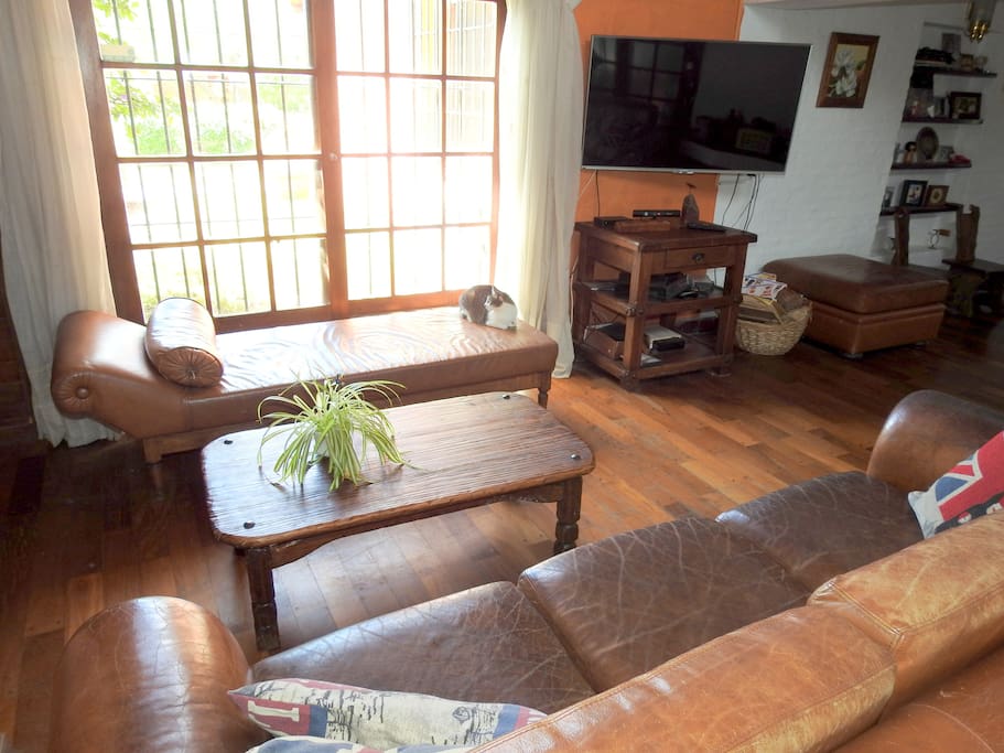 Smart TV 50", con Xbox360 equipada