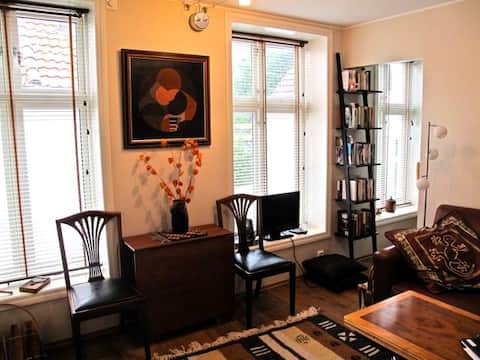 Guest apartment - historic district