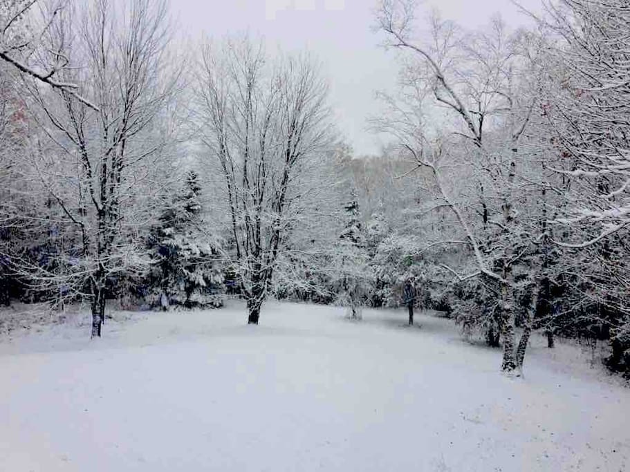 Early morning winter magic, view from the balcony