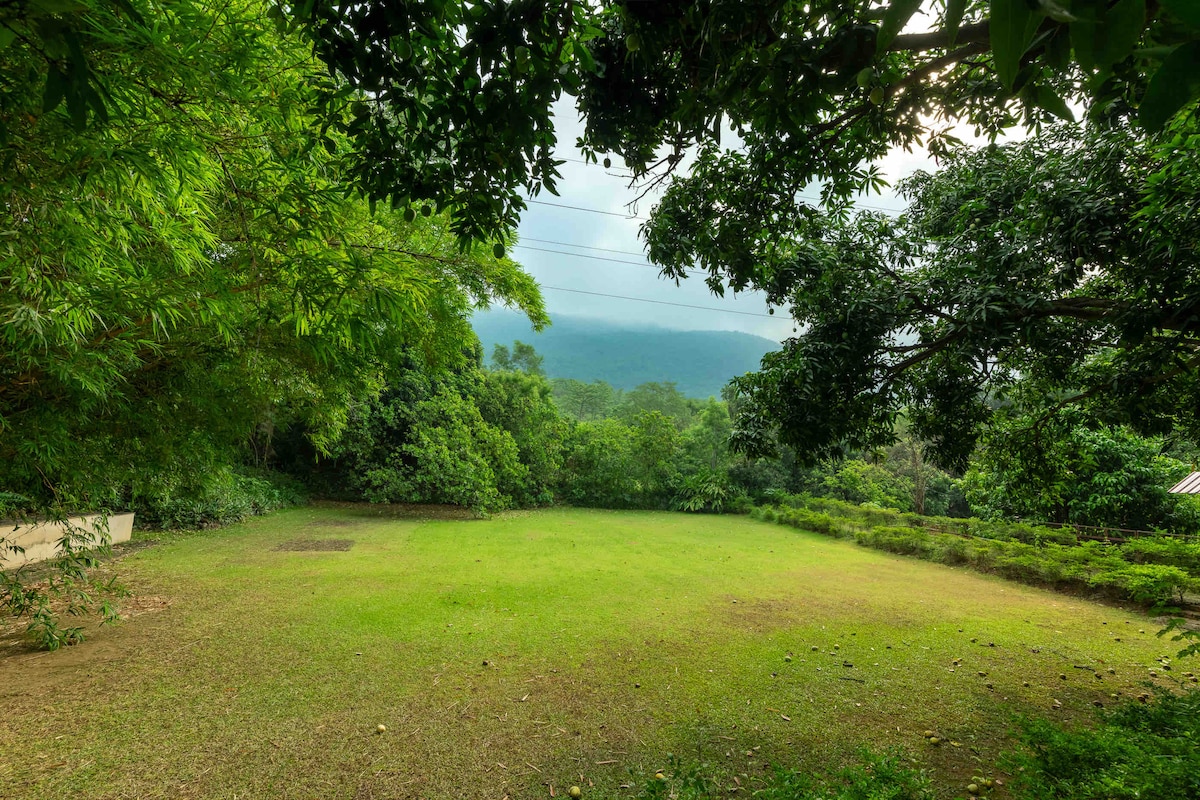 A serene green space is framed by lush trees, with a gently sloping hillside visible in the background. The open area is free of clutter, inviting relaxation and exploration amid nature's tranquility.