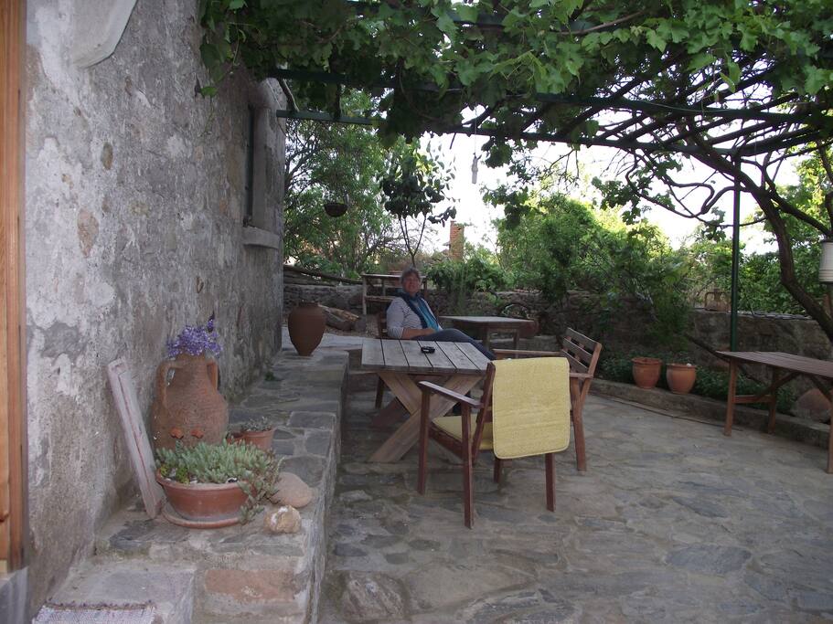Beautiful garden